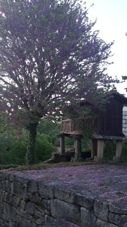 Casa Rural Torre Lombarda Allariz Dış mekan fotoğraf